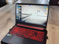 Acer Nitro 5