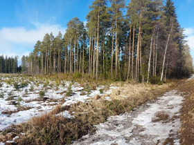 Säkyläntie 1036, Poso, Turku, Metsätilat ja maatilat, Turku, Tori.fi Säkyläntie 1036, Poso, Turku, Metsätilat ja maatilat, Turku, Tori.fi