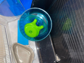Sekalaista hamsterin tavaraa, Jyrsijät, Lemmikkieläimet, Lappeenranta, Tori.fi Sekalaista hamsterin tavaraa, Jyrsijät, Lemmikkieläimet, Lappeenranta, Tori.fi