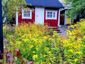 1H, Nokiantie 1, Helsinki, Ruskeasuo, Helsinki, Mökit ja loma-asunnot, Helsinki, Tori.fi 1H, Nokiantie 1, Helsinki, Ruskeasuo, Helsinki, Mökit ja loma-asunnot, Helsinki, Tori.fi