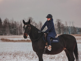 14v tamma, Hevoset ja ponit, Hevoset ja hevosurheilu, Ypäjä, Tori.fi 14v tamma, Hevoset ja ponit, Hevoset ja hevosurheilu, Ypäjä, Tori.fi