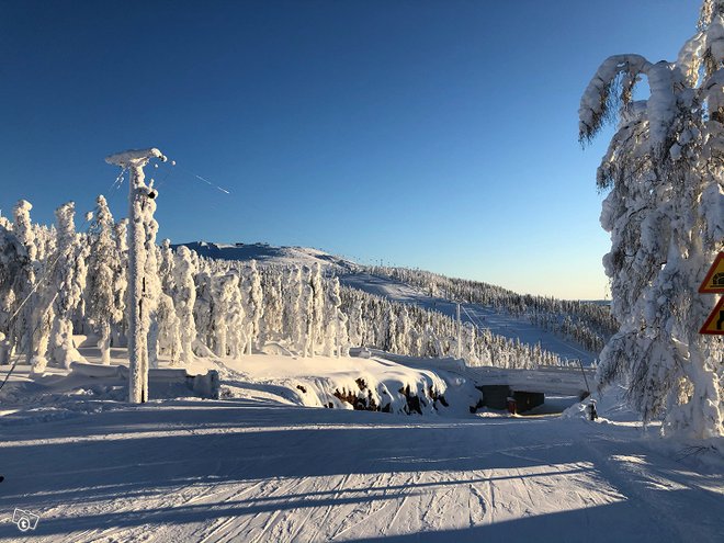 Mökki tai alppitalohuoneisto Leviltä, Möki...