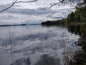 Rantatontti Niinivedellä, Tontit, Kuopio, Tori.fi Rantatontti Niinivedellä, Tontit, Kuopio, Tori.fi