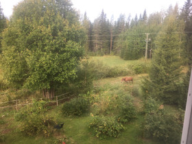Tarjolla hoitopaikka/ylläpitopaikka ponille, Hevoset ja ponit, Hevoset ja hevosurheilu, Polvijärvi, Tori.fi Tarjolla hoitopaikka/ylläpitopaikka ponille, Hevoset ja ponit, Hevoset ja hevosurheilu, Polvijärvi, Tori.fi