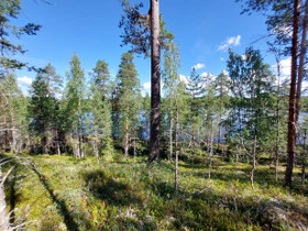 7350m², Pieni-Tevani Otonniementie, kortteli 1 ton, Tontit, Ruokolahti, Tori.fi 7350m², Pieni-Tevani Otonniementie, kortteli 1 ton, Tontit, Ruokolahti, Tori.fi