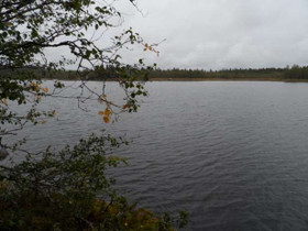 1.17 ha, Risoträsket, Raippaluoto, Mustasaari, Tontit, Mustasaari, Tori.fi 1.17 ha, Risoträsket, Raippaluoto, Mustasaari, Tontit, Mustasaari, Tori.fi