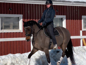 Monitoimi Hermanni!, Hevoset ja ponit, Hevoset ja hevosurheilu, Jyväskylä, Tori.fi Monitoimi Hermanni!, Hevoset ja ponit, Hevoset ja hevosurheilu, Jyväskylä, Tori.fi