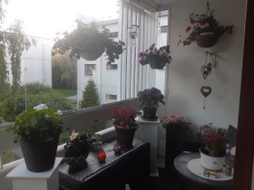 Ikkunanpesua ja siivousta, Palvelut, Kauhajoki, Tori.fi Ikkunanpesua ja siivousta, Palvelut, Kauhajoki, Tori.fi