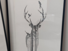 Desenio kaksi taulua, mustat kehykset, Taulut, Sisustus ja huonekalut, Kokkola, Tori.fi Desenio kaksi taulua, mustat kehykset, Taulut, Sisustus ja huonekalut, Kokkola, Tori.fi