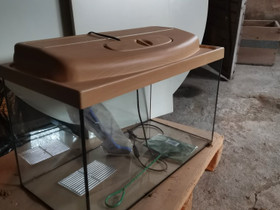 Akvaario, Kalat ja akvaariot, Lemmikkieläimet, Seinäjoki, Tori.fi Akvaario, Kalat ja akvaariot, Lemmikkieläimet, Seinäjoki, Tori.fi