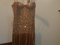 Roberto Cavalli H&M gold dress