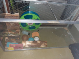 Terraario+tarvikkeita hamsterille, Muut eläintarvikkeet, Lemmikkieläimet, Imatra, Tori.fi Terraario+tarvikkeita hamsterille, Muut eläintarvikkeet, Lemmikkieläimet, Imatra, Tori.fi