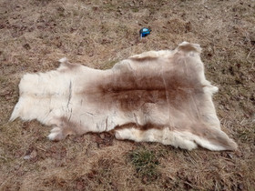 Porontaljat, Muu sisustus, Sisustus ja huonekalut, Kokkola, Tori.fi Porontaljat, Muu sisustus, Sisustus ja huonekalut, Kokkola, Tori.fi