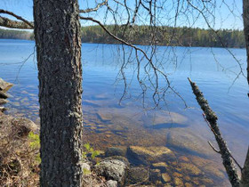 10000m², Päistäreentie 200, Hirvensalmi, Tontit, Hirvensalmi, Tori.fi 10000m², Päistäreentie 200, Hirvensalmi, Tontit, Hirvensalmi, Tori.fi