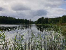 5740m², Paljakantie 350, Kouvola, Tontit, Kouvola, Tori.fi 5740m², Paljakantie 350, Kouvola, Tontit, Kouvola, Tori.fi
