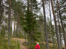 Omakotitalo / rivitalo / paritalo, Vuokrattavat asunnot, Asunnot, Lemi, Tori.fi Omakotitalo / rivitalo / paritalo, Vuokrattavat asunnot, Asunnot, Lemi, Tori.fi