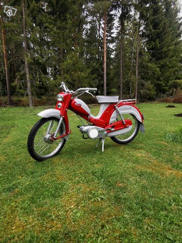 Museorekisteröity Pappatunturi -61, kuva 1