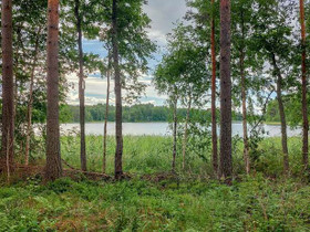 4000m², Tarholantie tontti 1, Mikkeli, Tontit, Mikkeli, Tori.fi 4000m², Tarholantie tontti 1, Mikkeli, Tontit, Mikkeli, Tori.fi
