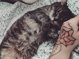 Tarjotaan hoitopaikkaa pieneläimille, Palvelut, Hausjärvi, Tori.fi Tarjotaan hoitopaikkaa pieneläimille, Palvelut, Hausjärvi, Tori.fi
