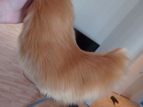 Fursuit häntä ALE, Käsityöt, Kokkola, Tori.fi Fursuit häntä ALE, Käsityöt, Kokkola, Tori.fi