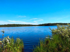 2.41 ha, Multasniementie 3, Kuusamo, Tontit, Kuusamo, Tori.fi 2.41 ha, Multasniementie 3, Kuusamo, Tontit, Kuusamo, Tori.fi