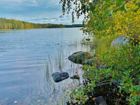 5000m², Aarremäentie 140, Mäntyharju, Tontit, Mäntyharju, Tori.fi 5000m², Aarremäentie 140, Mäntyharju, Tontit, Mäntyharju, Tori.fi