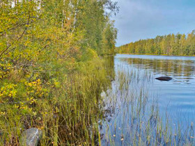 5000m², Aarremäentie 140, Mäntyharju, Tontit, Mäntyharju, Tori.fi 5000m², Aarremäentie 140, Mäntyharju, Tontit, Mäntyharju, Tori.fi