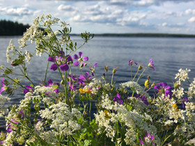 Kesämökki Keski-Suomesta, Mökit ja loma-asunnot, Jyväskylä, Tori.fi Kesämökki Keski-Suomesta, Mökit ja loma-asunnot, Jyväskylä, Tori.fi