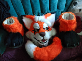 Kettu Fursuit. Pää, häntä, jalkatassut, Pelit ja muut harrastukset, Mikkeli, Tori.fi Kettu Fursuit. Pää, häntä, jalkatassut, Pelit ja muut harrastukset, Mikkeli, Tori.fi