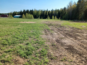 Omakotitalotontti Seinäjoelta, Tontit, Seinäjoki, Tori.fi Omakotitalotontti Seinäjoelta, Tontit, Seinäjoki, Tori.fi