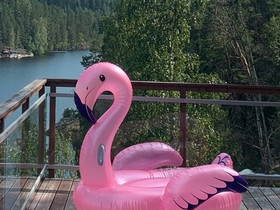 Flamingo uimapatja, Uinti ja sukellus, Urheilu ja ulkoilu, Lahti, Tori.fi Flamingo uimapatja, Uinti ja sukellus, Urheilu ja ulkoilu, Lahti, Tori.fi