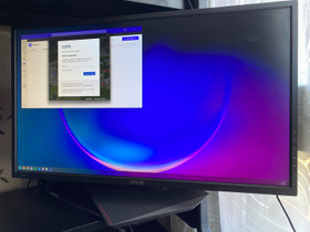 Asus mg278 qhd, Oheislaitteet, Tietokoneet ja lisälaitteet, Hattula, Tori.fi Asus mg278 qhd, Oheislaitteet, Tietokoneet ja lisälaitteet, Hattula, Tori.fi