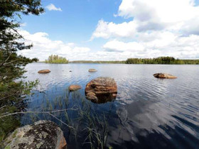4550m², Liesijärvi Kortteli 3, tontti 1, Parkano, Tontit, Parkano, Tori.fi