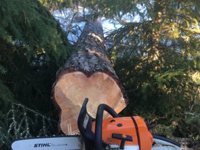 Metsää peltoa maata, Metsätilat ja maatilat, Masku, Tori.fi Metsää peltoa maata, Metsätilat ja maatilat, Masku, Tori.fi