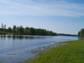 Vapaa-ajan rantatontti, Tontit, Kuopio, Tori.fi Vapaa-ajan rantatontti, Tontit, Kuopio, Tori.fi