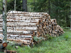 Koivukuitua, Maatalous, Jämsä, Tori.fi Koivukuitua, Maatalous, Jämsä, Tori.fi