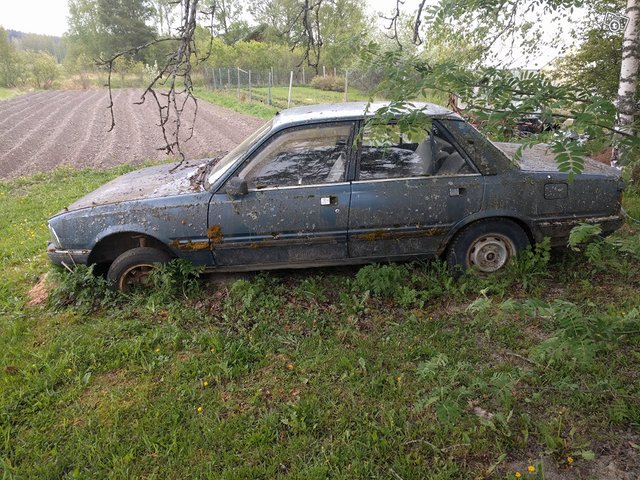 Peugeot 505