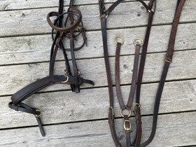 Wahlsten suitset + rintaremmi-martingaali, Satulat ja varusteet, Hevoset ja hevosurheilu, Kotka, Tori.fi Wahlsten suitset + rintaremmi-martingaali, Satulat ja varusteet, Hevoset ja hevosurheilu, Kotka, Tori.fi