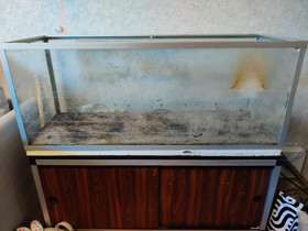 100x35x40 akvaario ja jalusta, Kalat ja akvaariot, Lemmikkieläimet, Jyväskylä, Tori.fi 100x35x40 akvaario ja jalusta, Kalat ja akvaariot, Lemmikkieläimet, Jyväskylä, Tori.fi