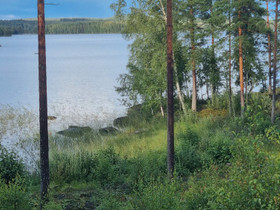 Omarantainen omakotitontti järven rannalla, Tontit, Laukaa, Tori.fi