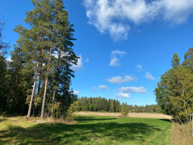 Pöytyällä iso tontti sähköliittymällä, Tontit, Pöytyä, Tori.fi Pöytyällä iso tontti sähköliittymällä, Tontit, Pöytyä, Tori.fi
