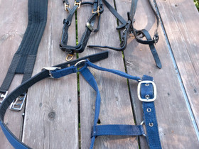 Suitset+ohjaimet, satulavyö, päitset, loimi, Satulat ja varusteet, Hevoset ja hevosurheilu, Nakkila, Tori.fi Suitset+ohjaimet, satulavyö, päitset, loimi, Satulat ja varusteet, Hevoset ja hevosurheilu, Nakkila, Tori.fi