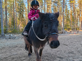 Vuokraaja shetlanninponille, Hevoset ja ponit, Hevoset ja hevosurheilu, Kurikka, Tori.fi Vuokraaja shetlanninponille, Hevoset ja ponit, Hevoset ja hevosurheilu, Kurikka, Tori.fi