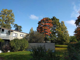 1H, Tanskarlantie 4-8, Tanskarla, Kirkkonummi, Myytävät asunnot, Asunnot, Kirkkonummi, Tori.fi 1H, Tanskarlantie 4-8, Tanskarla, Kirkkonummi, Myytävät asunnot, Asunnot, Kirkkonummi, Tori.fi