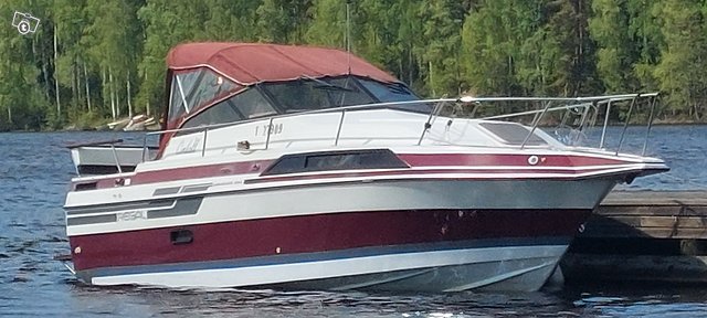 Regal 255 xl ambassador, kuva 1