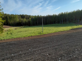 Hevoslaidun, Metsätilat ja maatilat, Jyväskylä, Tori.fi Hevoslaidun, Metsätilat ja maatilat, Jyväskylä, Tori.fi