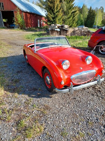 Austin Healey