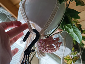 Hoya carnosa, Kasvit ja siemenet, Piha ja puutarha, Imatra, Tori.fi Hoya carnosa, Kasvit ja siemenet, Piha ja puutarha, Imatra, Tori.fi