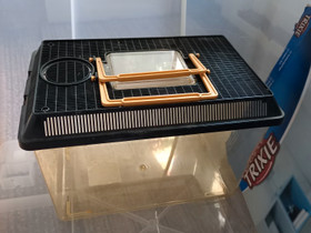 Tarvikkeita esim hamsterille, Muut eläintarvikkeet, Lemmikkieläimet, Jyväskylä, Tori.fi Tarvikkeita esim hamsterille, Muut eläintarvikkeet, Lemmikkieläimet, Jyväskylä, Tori.fi