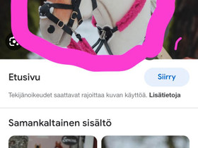 Vuonohevos-keppari, Muut hevostarvikkeet, Hevoset ja hevosurheilu, Tampere, Tori.fi